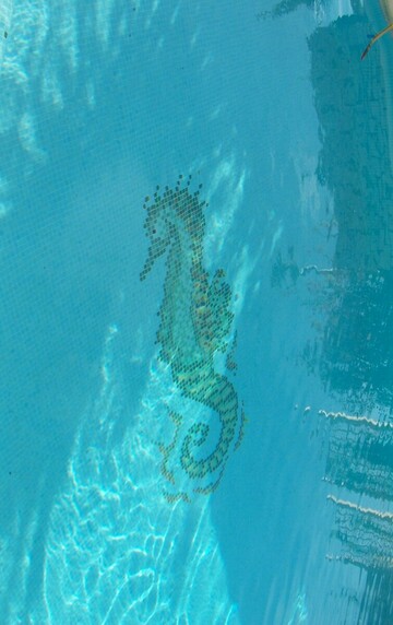 Piscines Verrier: Votre Expert en Réfection et Changement de Carrelage de Piscine à Lattes et ses Environs